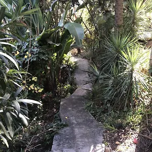 Casa Simba (adults Only) Konukevi
